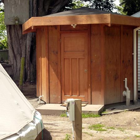 Wacky Stays - Unique Farm-Stay Glamping Rentals, Free Animal Feeding Tours Καϊκούρα Εξωτερικό φωτογραφία
