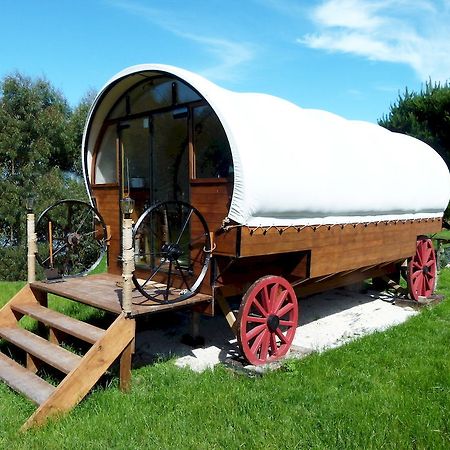 Wacky Stays - Unique Farm-Stay Glamping Rentals, Free Animal Feeding Tours Καϊκούρα Εξωτερικό φωτογραφία
