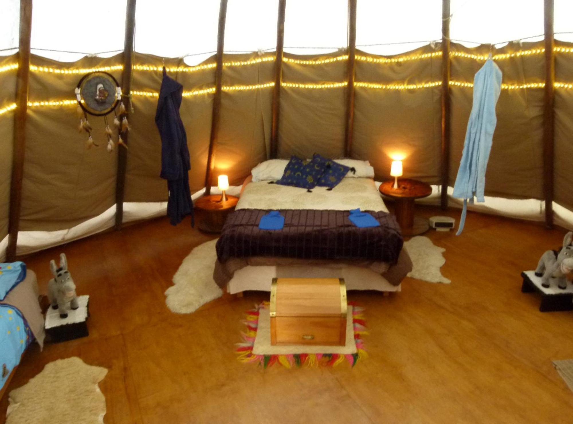 Wacky Stays - Unique Farm-Stay Glamping Rentals, Free Animal Feeding Tours Καϊκούρα Εξωτερικό φωτογραφία