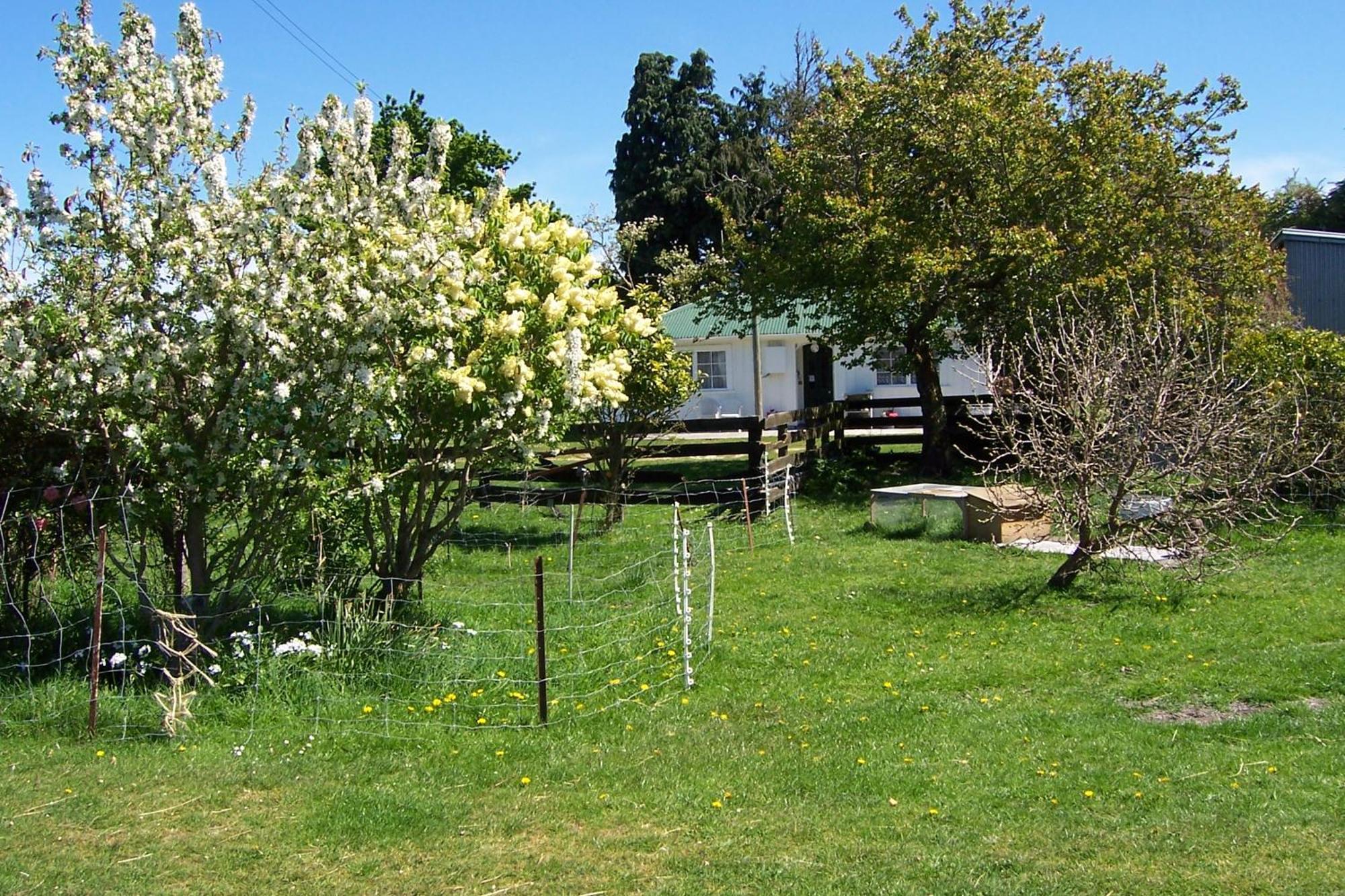 Wacky Stays - Unique Farm-Stay Glamping Rentals, Free Animal Feeding Tours Καϊκούρα Εξωτερικό φωτογραφία
