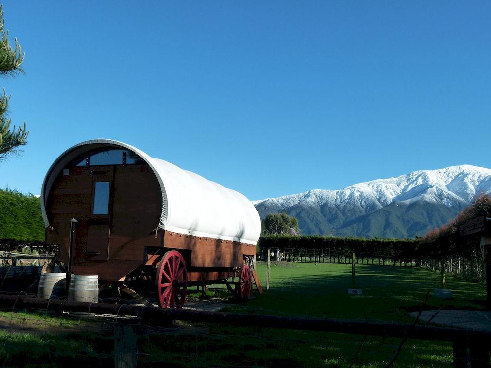 Wacky Stays - Unique Farm-Stay Glamping Rentals, Free Animal Feeding Tours Καϊκούρα Εξωτερικό φωτογραφία