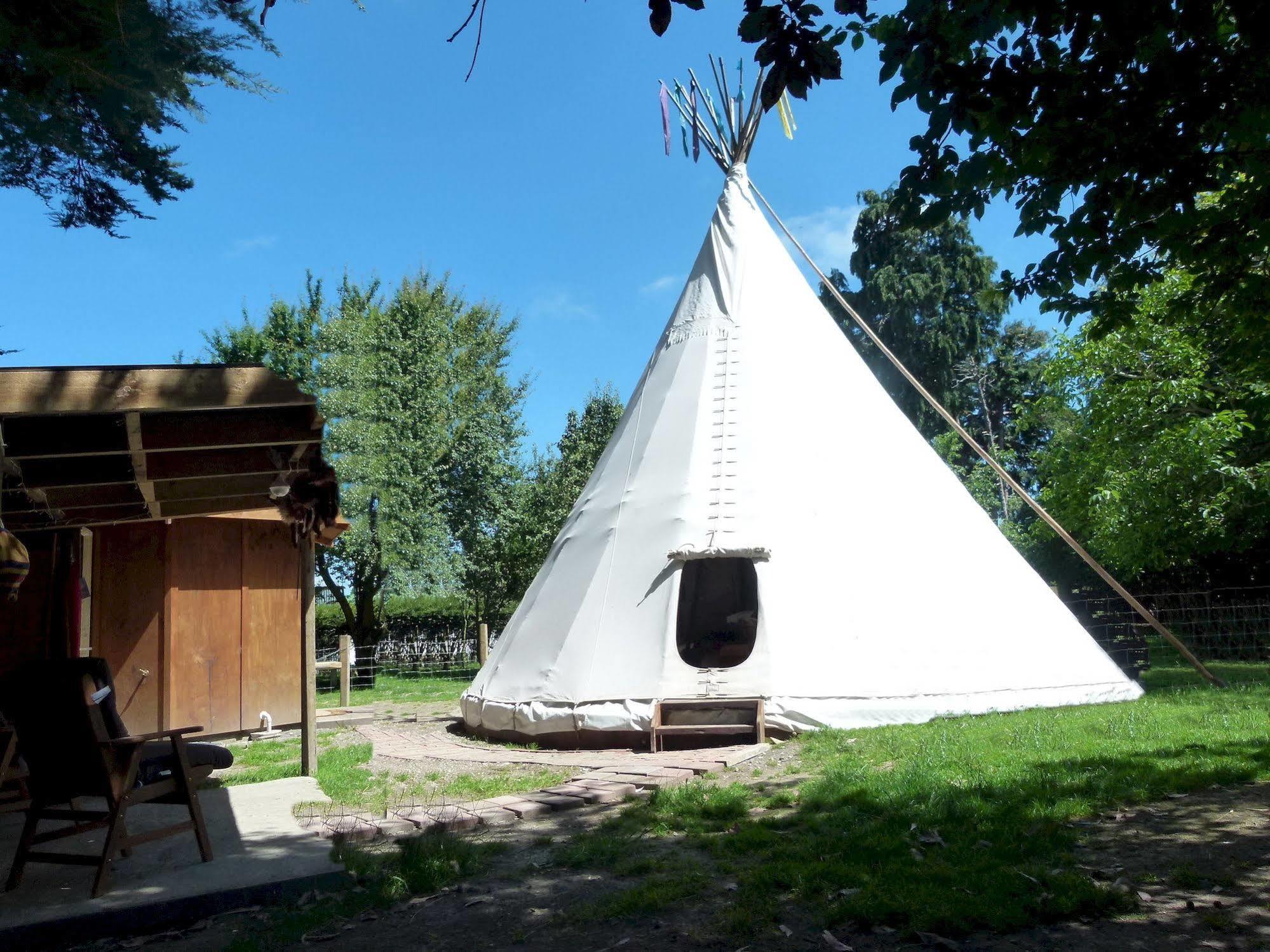 Wacky Stays - Unique Farm-Stay Glamping Rentals, Free Animal Feeding Tours Καϊκούρα Εξωτερικό φωτογραφία