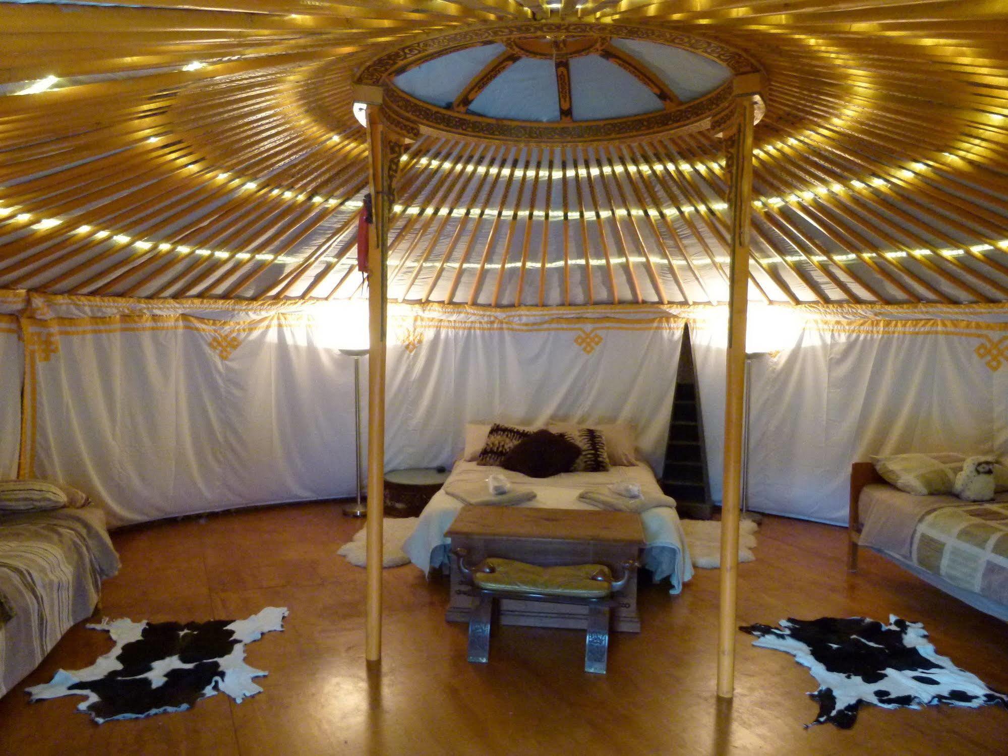 Wacky Stays - Unique Farm-Stay Glamping Rentals, Free Animal Feeding Tours Καϊκούρα Εξωτερικό φωτογραφία