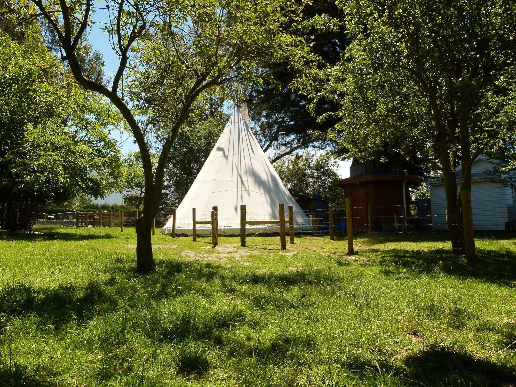 Wacky Stays - Unique Farm-Stay Glamping Rentals, Free Animal Feeding Tours Καϊκούρα Εξωτερικό φωτογραφία