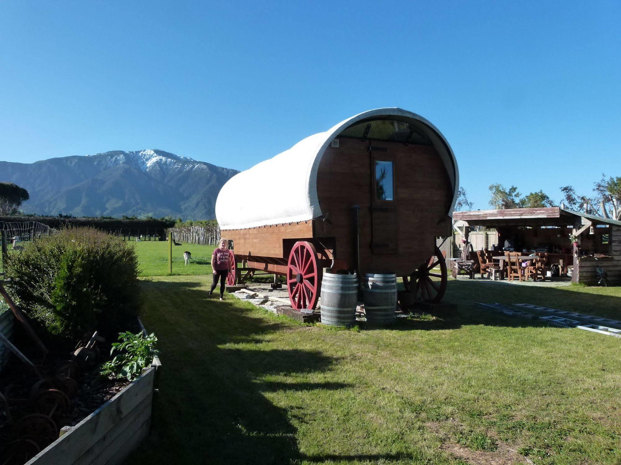 Wacky Stays - Unique Farm-Stay Glamping Rentals, Free Animal Feeding Tours Καϊκούρα Εξωτερικό φωτογραφία